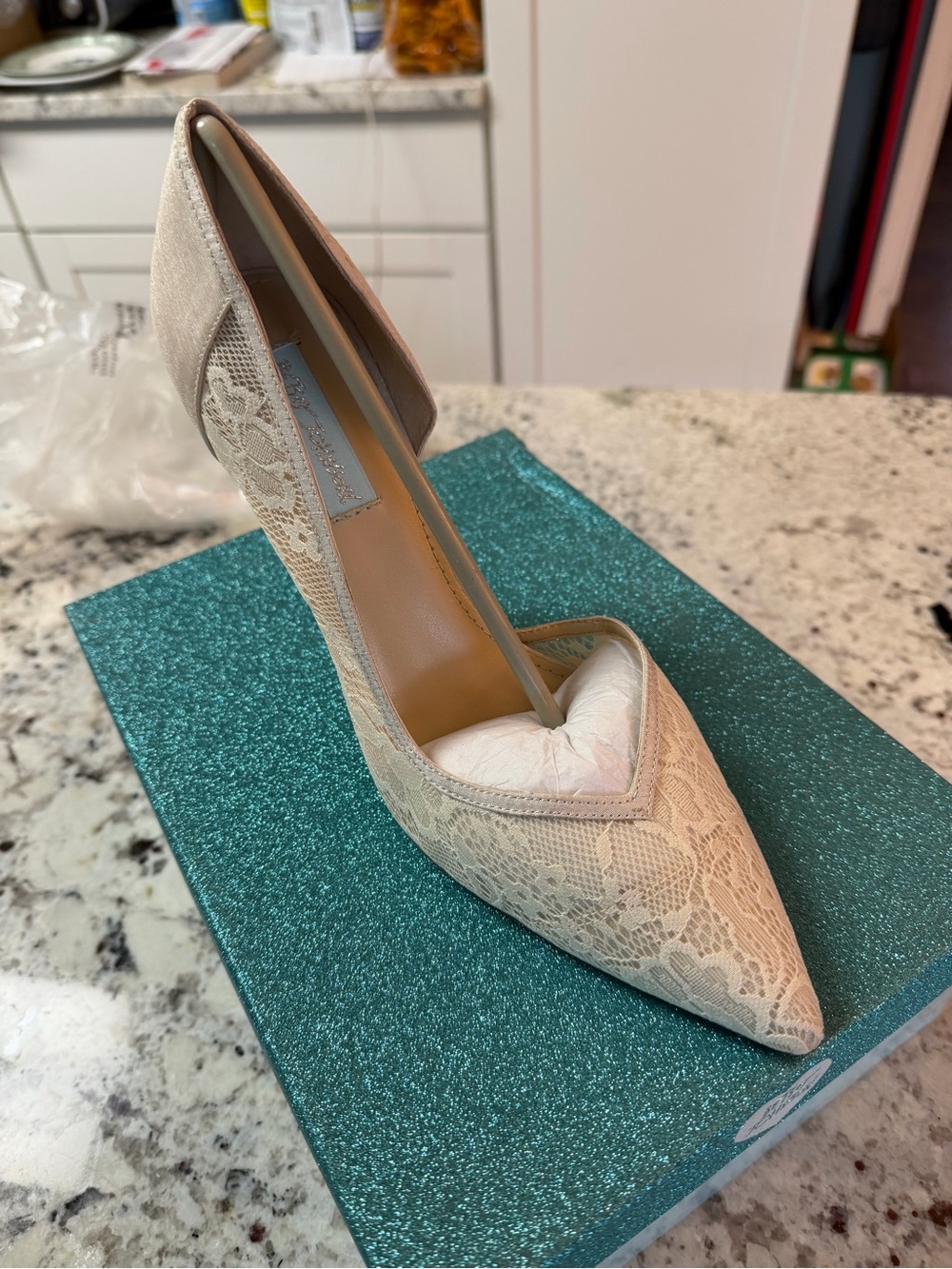 Lace D'Orsay Pointed-Toe Pump in Ivory